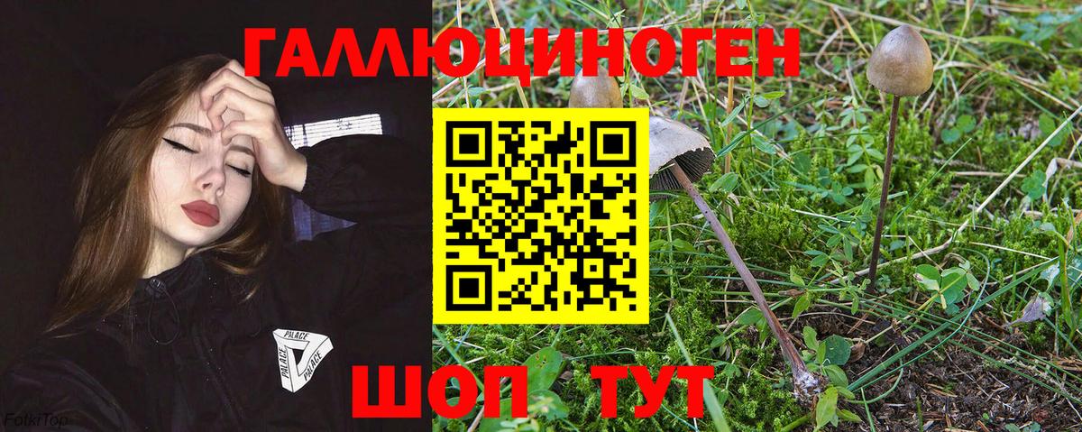 Галлюциногенные грибы мухоморы Будённовск