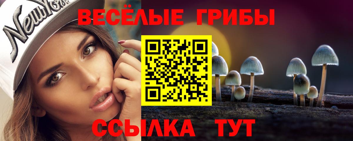 Будённовск  Псилоцибиновые грибы мухоморы  Псилоцибиновые грибы мухоморы  Вход с VPN 